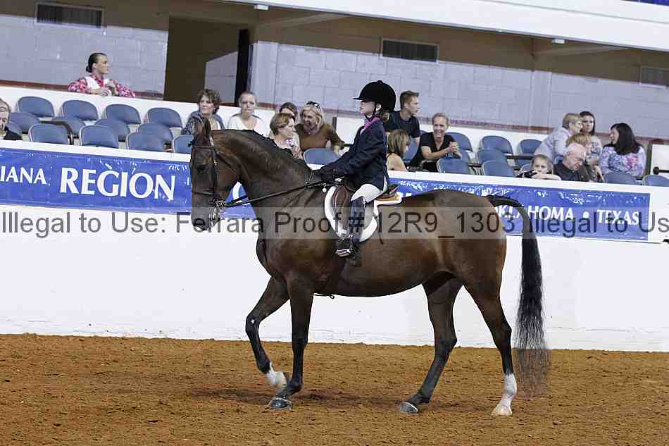 Proof 12r9_1303
