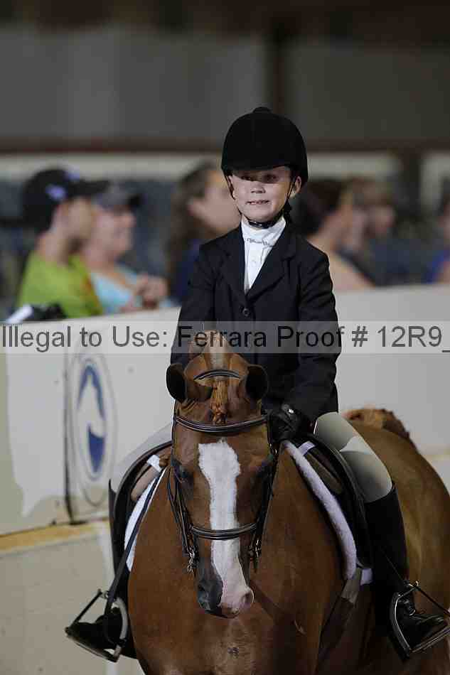 Proof 12r9_1305