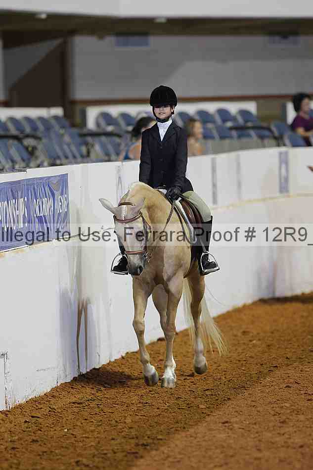 Proof 12r9_1308