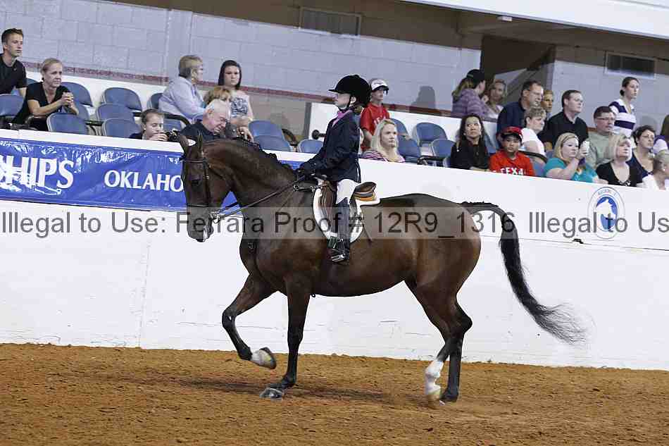 Proof 12r9_1316
