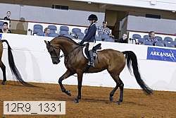12r9_1331 proof