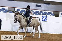 12r9_1336 proof