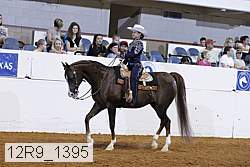 12r9_1395 proof