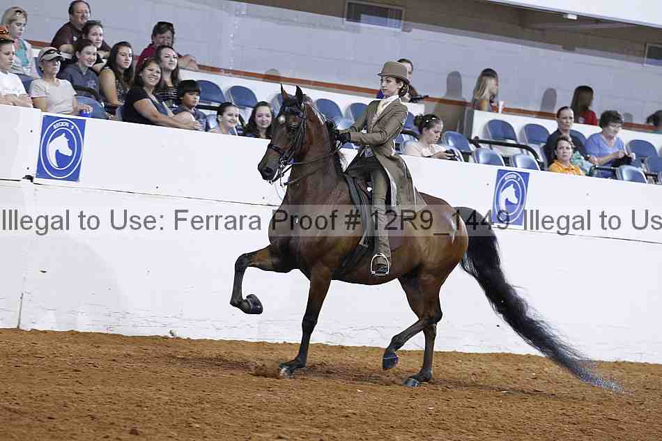 Proof 12r9_1449