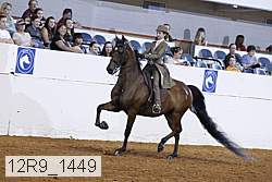 12r9_1449 proof