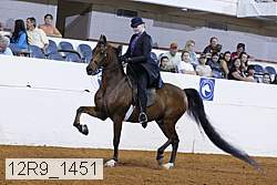 12r9_1451 proof