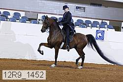 12r9_1452 proof