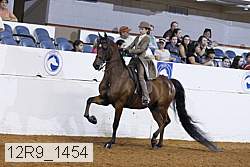 12r9_1454 proof