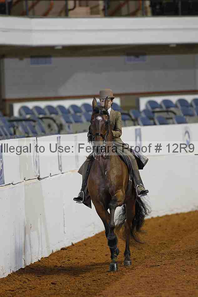 Proof 12r9_1456