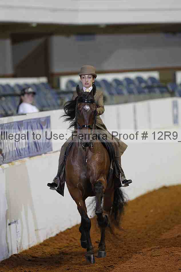Proof 12r9_1457