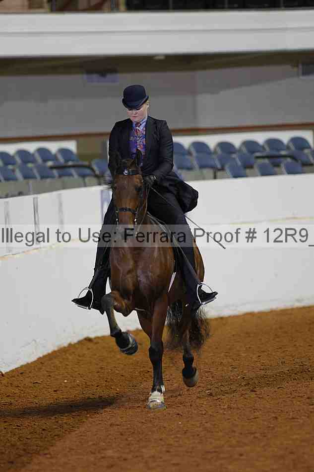 Proof 12r9_1458