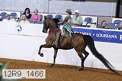 12r9_1466 proof