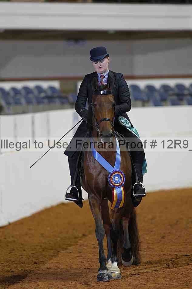Proof 12r9_1467