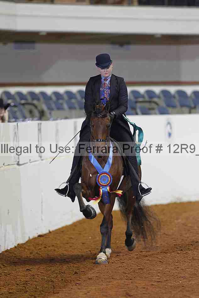 Proof 12r9_1477