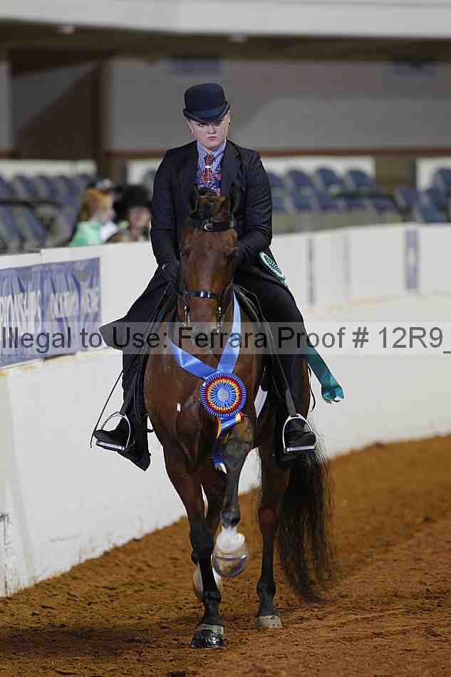 Proof 12r9_1478