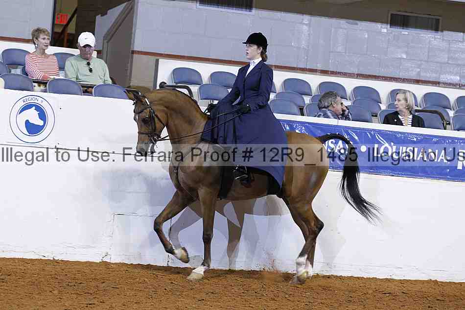Proof 12r9_1485