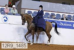 12r9_1485 proof