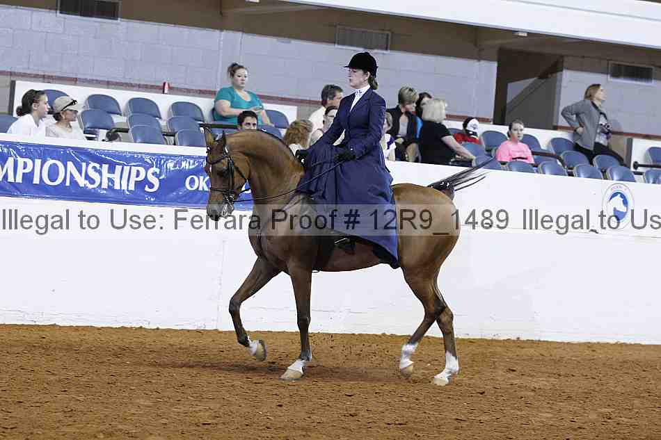 Proof 12r9_1489