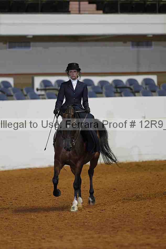 Proof 12r9_1490