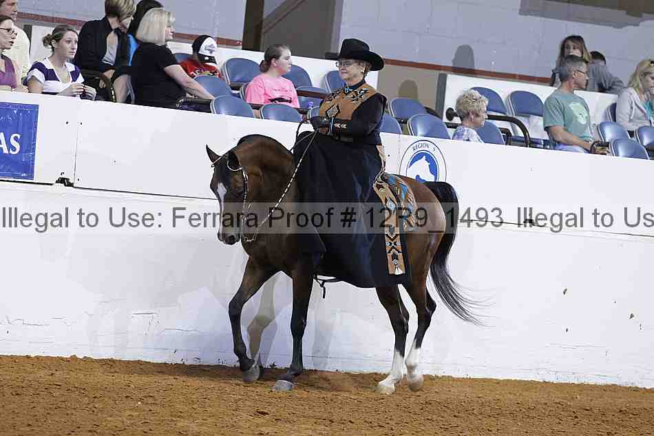 Proof 12r9_1493