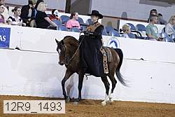 12r9_1493 proof