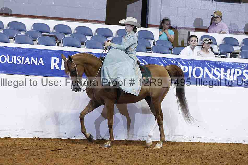 Proof 12r9_1495