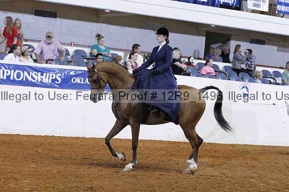Proof 12r9_1496