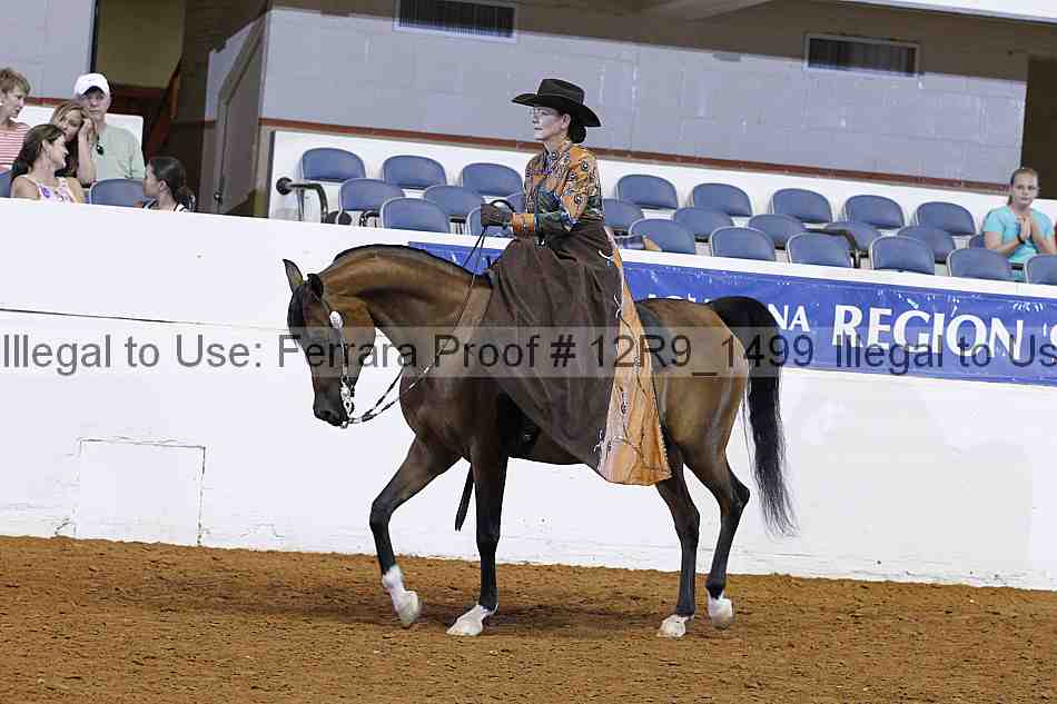 Proof 12r9_1499