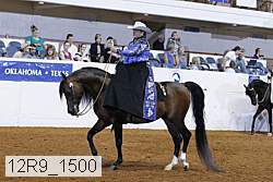 12r9_1500 proof