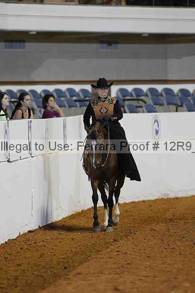 Proof 12r9_1504