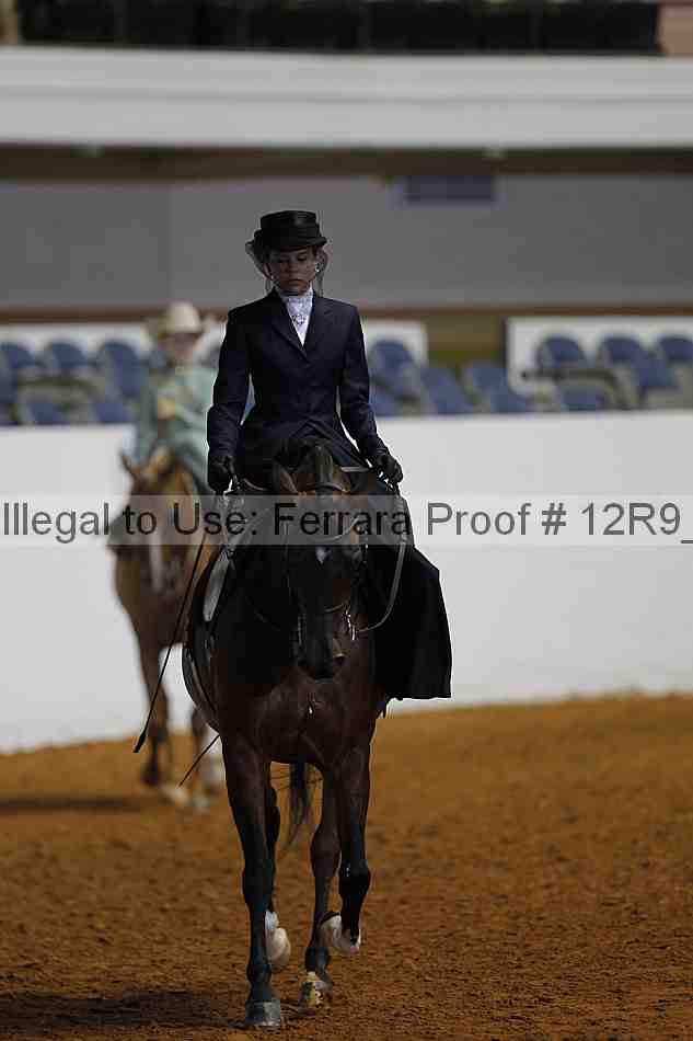 Proof 12r9_1508