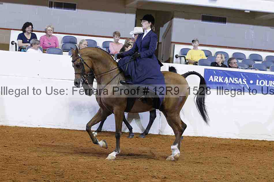 Proof 12r9_1528