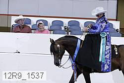 12r9_1537 proof