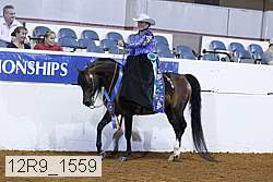 12r9_1559 proof