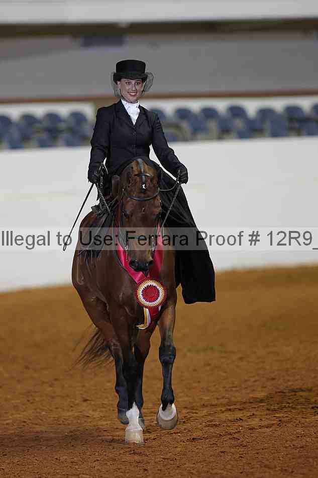 Proof 12r9_1562