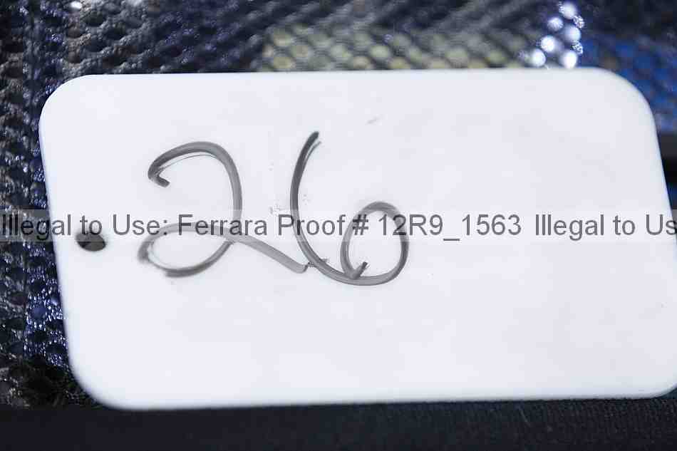 Proof 12r9_1563