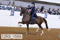 12r9_1569 proof