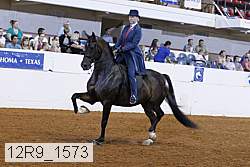 12r9_1573 proof