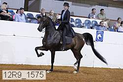 12r9_1575 proof