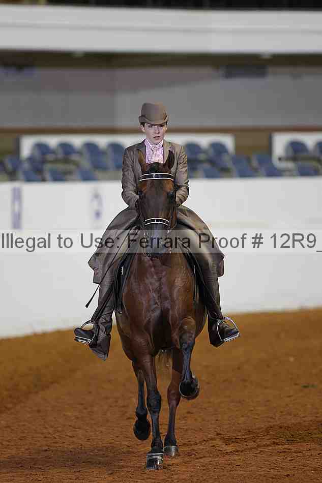 Proof 12r9_1585