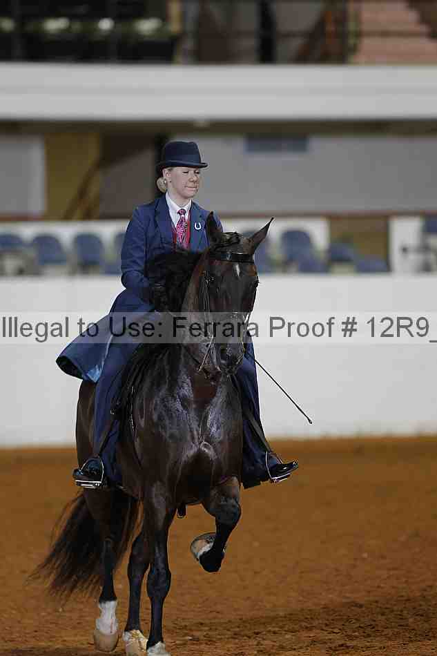 Proof 12r9_1593