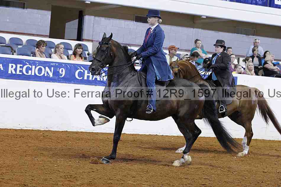 Proof 12r9_1597