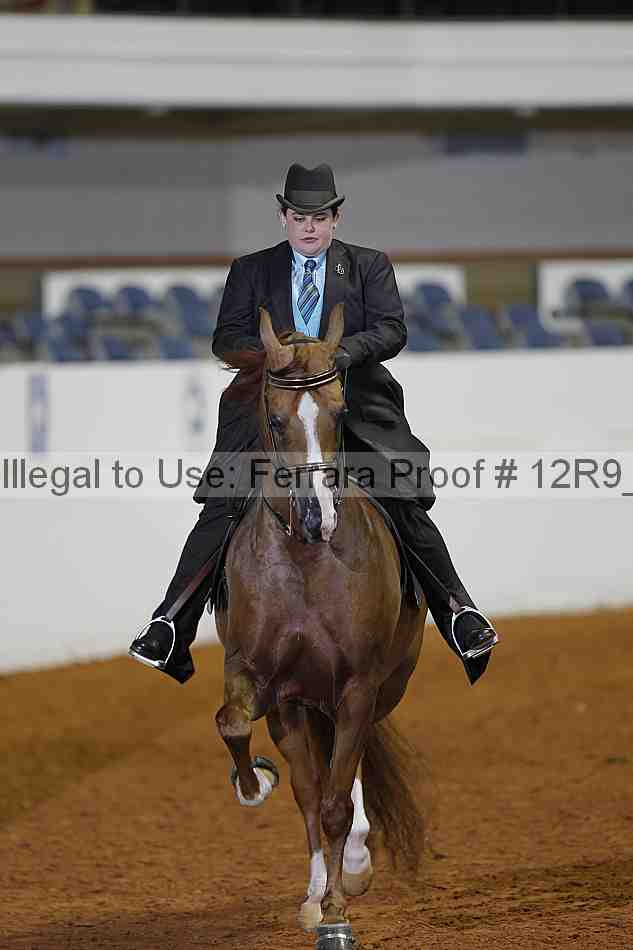Proof 12r9_1602
