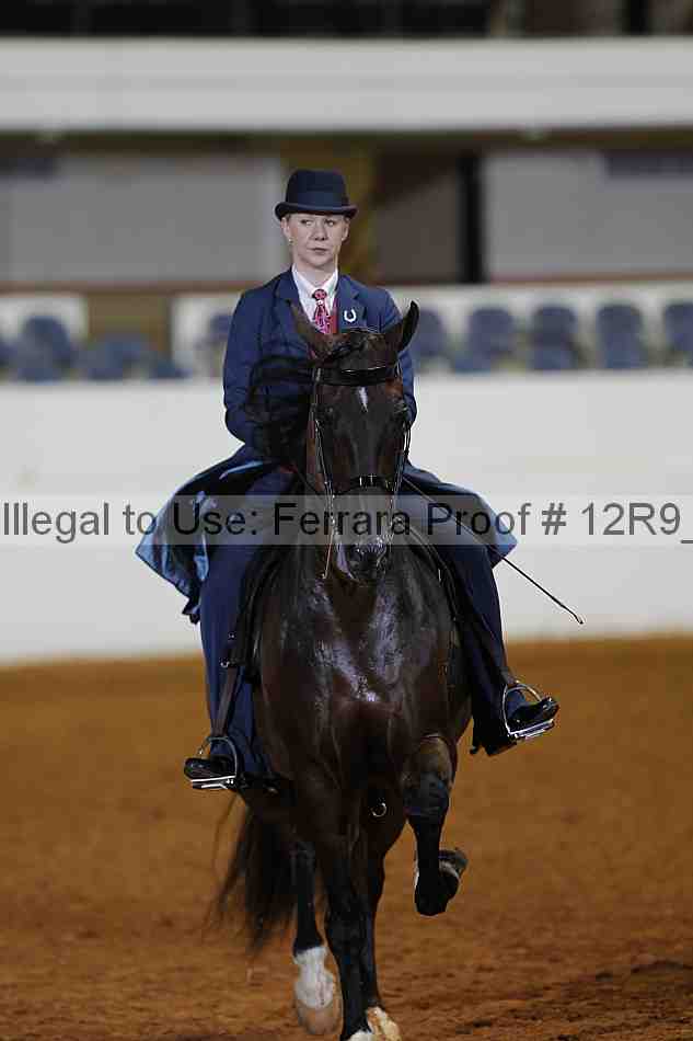 Proof 12r9_1603