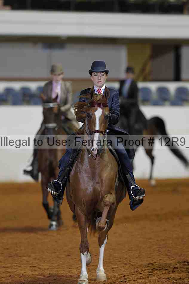 Proof 12r9_1607