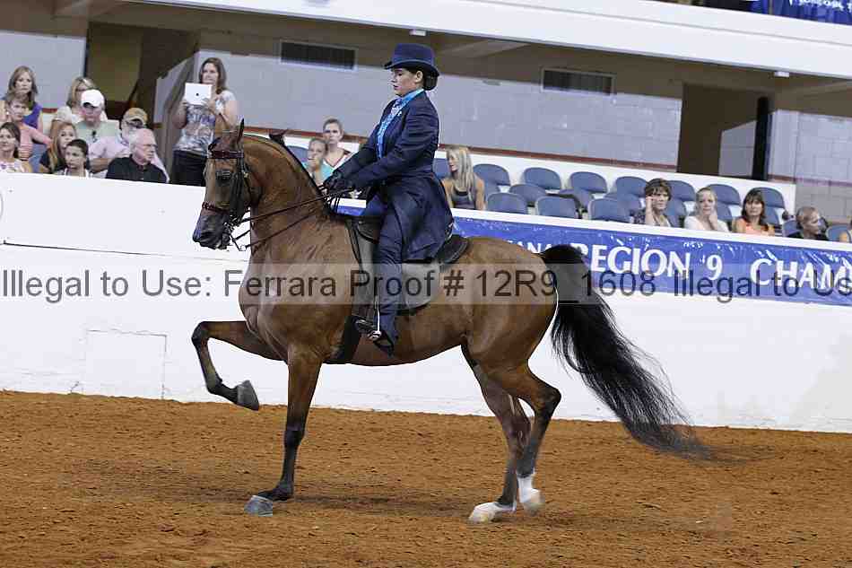 Proof 12r9_1608