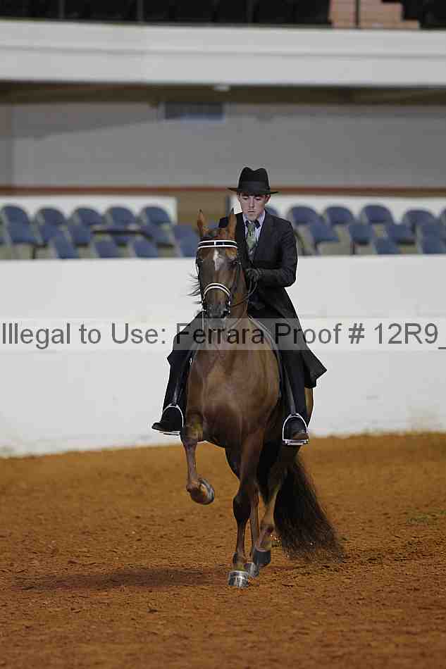 Proof 12r9_1609