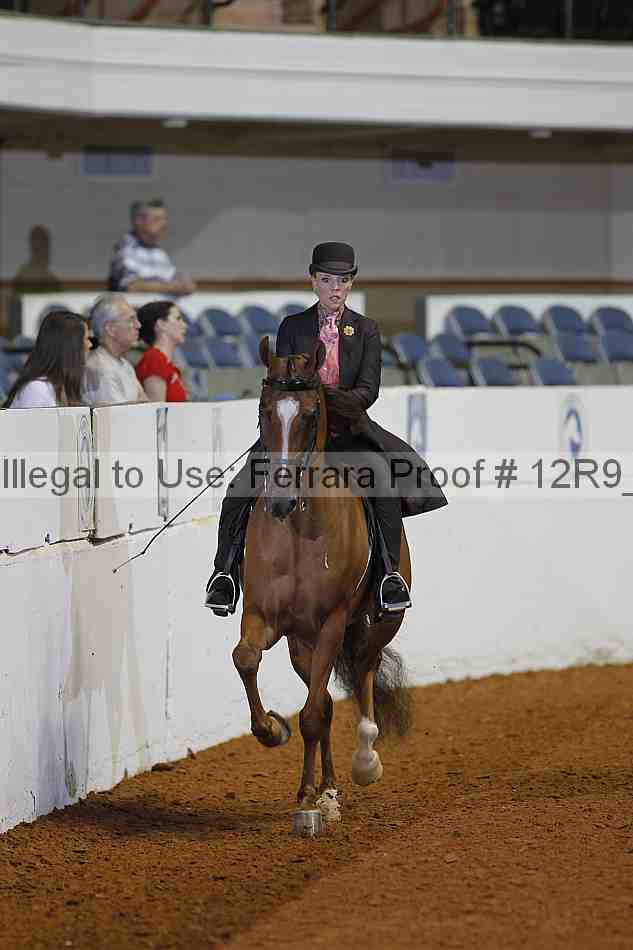 Proof 12r9_1610