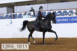12r9_1611 proof