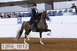 12r9_1612 proof